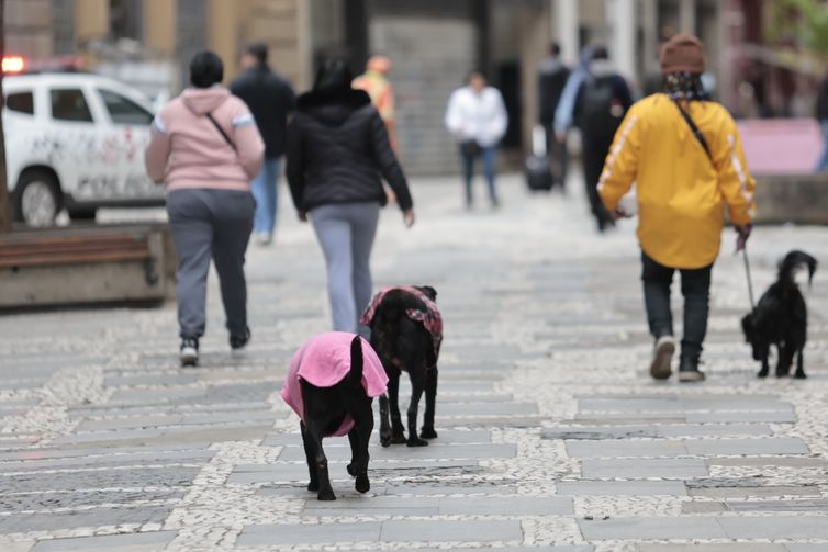 Parque Nacional do Itatiaia registra menor temperatura do ano: -9,4ºC
