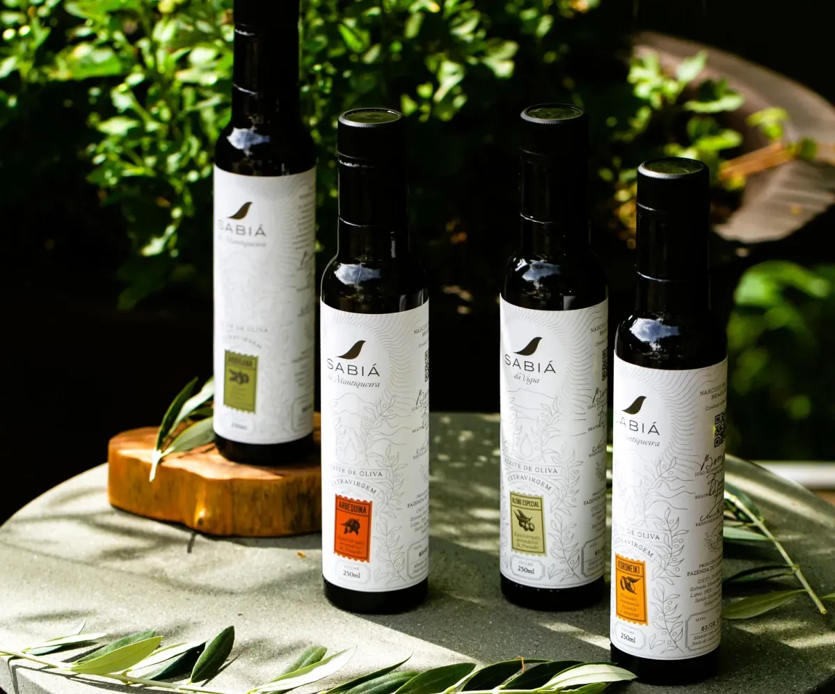 Conheça azeites brasileiros premiados entre os melhores do mundo em 2025.