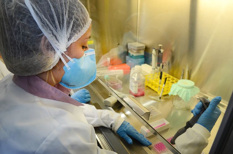 USP: pesquisa de vacina contra zika avança em testes com camundongos